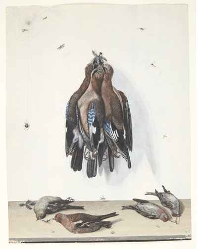 Martwa natura z ptakami autorstwa Anton Ignaz Hamilton