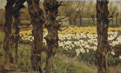 Pola tulipanów autorstwa Anton L. Koster