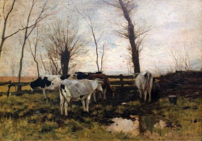 Krowy na pastwisku autorstwa Anton Mauve
