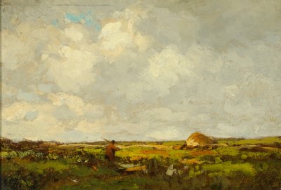 Krajobraz (olej na drewnie) autorstwa Anton Mauve