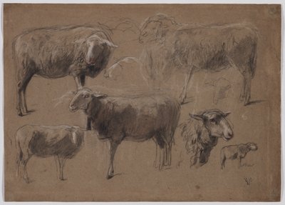 Studia nad owcami, druga połowa XIX wieku. autorstwa Anton Mauve