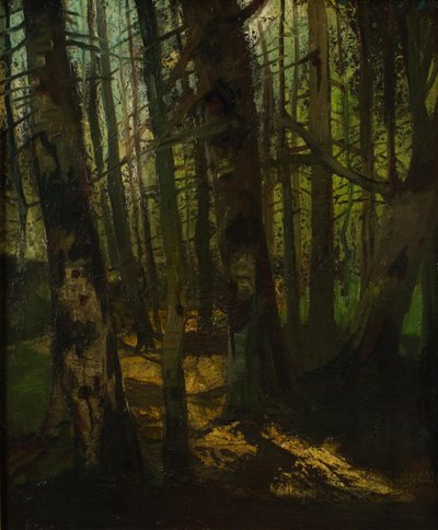 Karczowanie lasów autorstwa Anton Müller Wischin