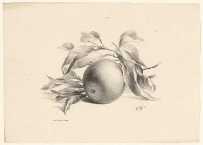 Pomarańczowy Owoce (tytuł serii) autorstwa Anton Weiss