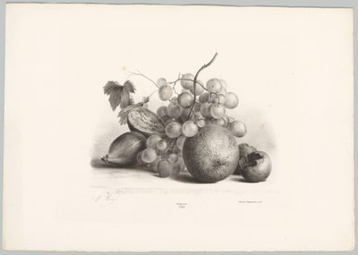 Figi, winogrona i pomarańcza Studia kwiatowe i owocowe (...) 10. odcinek (tytuł serii) autorstwa Anton Weiss