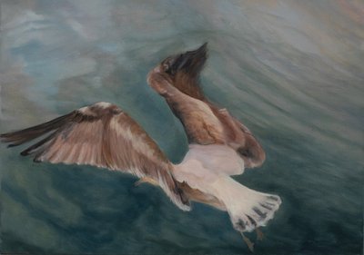 Mewa schodząca na ląd, 2012 (olej na płótnie) autorstwa Antonia Myatt