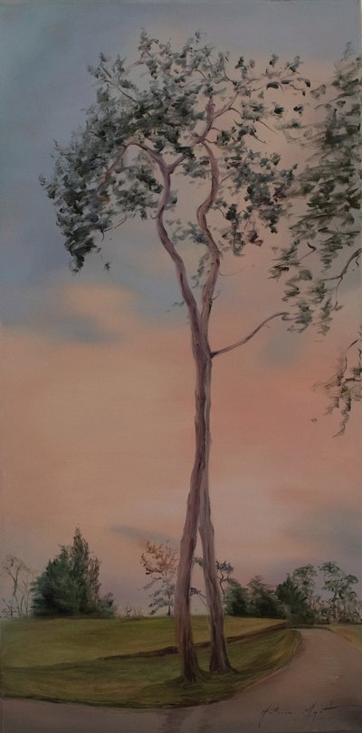 Drzewa w Tapeley Park, 2013 (olej na płótnie) autorstwa Antonia Myatt
