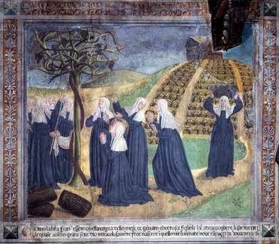 Życie św. Franciszka Romaine : święty opiekujący się winnicą wraz z siostrami sprawia, że winogrona pojawiają się w styczniu (Fresco autorstwa Antoniazzo Romano