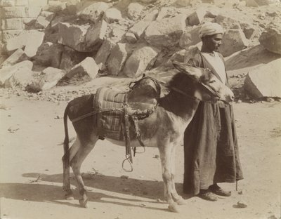Bourier i Bouriquer, Egipt autorstwa Antonio Beato