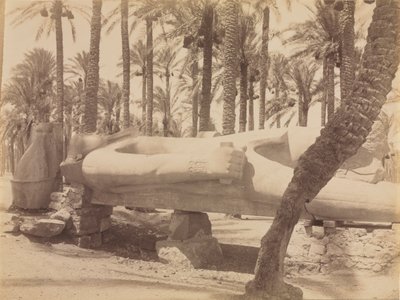 Posąg Ramzesa w Sakkarze, c. 1870 - 1880. autorstwa Antonio Beato