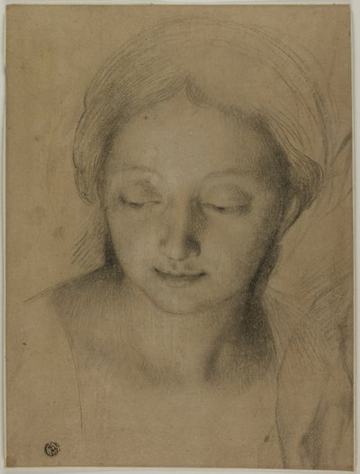 Głowa kobiety autorstwa Antonio Cavallucci
