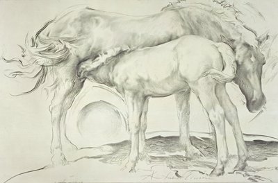 Konie w Coolmore, 1990 (węgiel na papierze) autorstwa Antonio Ciccone