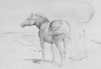 Konie w Coolmore, 1990 (węgiel na papierze) autorstwa Antonio Ciccone