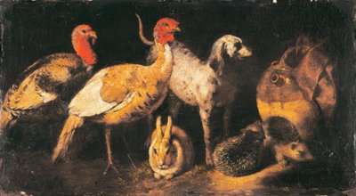 Indyki, psy, króliki i jeże autorstwa Antonio Maria Vassallo