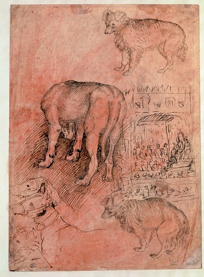 Badania psów. Odcinek Aulic. Rysunek autorstwa Antonio Pisano dit il Pisanello (1380-1455) autorstwa Antonio Pisanello