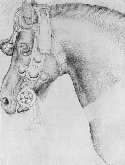 Głowa konia, z albumu Vallardi autorstwa Antonio Pisanello