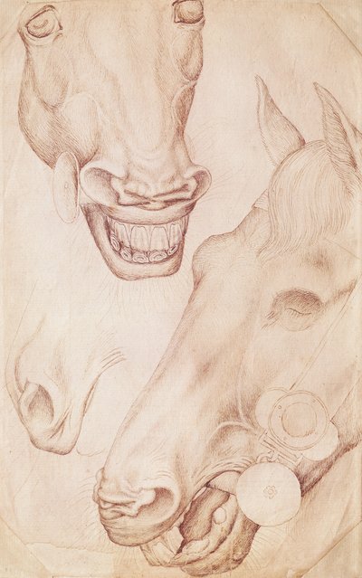 Głowy koni, z albumu Vallardi autorstwa Antonio Pisanello