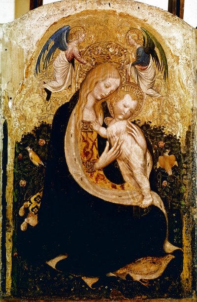 Madonna ma przepiórkę Detrempe na drewnie Pisanello (Antonio Pisano) (ok. 1380-1455). ok. 1420 50x33 cm Verone, Muzeum Castevecchio - Madonna z przepiórką, Antonio Pisano vel Pisanello (1380-c.1455)., Tempera na desce, 50x33 cm autorstwa Antonio Pisanello