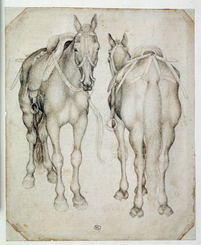 Dwie uprzęże, widziane w trzech czwartych, jedna z przodu, druga z tyłu. Rysunek Pisano Antonio di Puccio dit Pisanello (1395-1455) autorstwa Antonio Pisanello