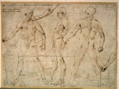 Trzech nagich mężczyzn. Rysunek autorstwa Antonio Pollaiuolo (Pollaiolo) (1432-1498) autorstwa Antonio Pollaiuolo