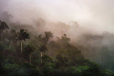 Corcovado XIX, 2020 (zdjęcie cyfrowe) autorstwa Antonio Schubert