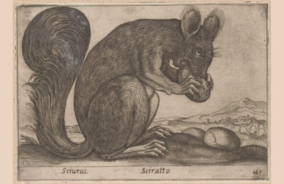 Ekhorn Sciurus/ Sciratto (tytuł na obiekcie) Dieren en fabelwezens (tytuł serii) Nowe ciekawe małe zwierzątko na świecie (tytuł serii) autorstwa Antonio Tempesta