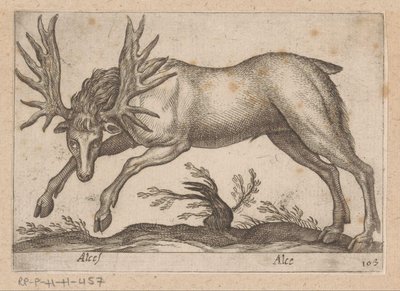 Eland Łoś/ Łoś (tytuł na obiekcie) Dieren en fablewezens (tytuł serii) Nowa kolekcja najciekawszych zwierząt świata (tytuł serii) autorstwa Antonio Tempesta