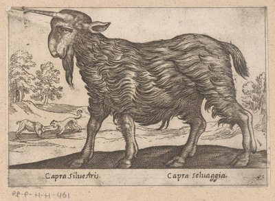 Koza z jednym rogiem Capra Silvestris/ Capra Selvaggia (tytuł na obiekcie) Dieren en fablewezens (tytuł serii) Nowa kolekcja najciekawszych zwierząt świata (tytuł serii) autorstwa Antonio Tempesta