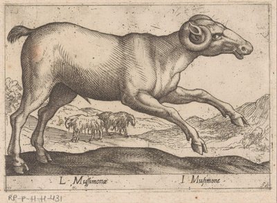 kozia L Mussimonae/ I Musimone (tytuł na obiekcie) Dieren en fablewezens (tytuł serii) Nowa kolekcja najciekawszych zwierząt świata (tytuł serii) autorstwa Antonio Tempesta