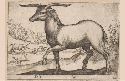 Koń z rogami Eale/Eale (tytuł na obiekcie) Zwierzęta i mityczne stworzenia (tytuł serii) Nova raccolta de li animali piu curiosi del mondo (tytuł serii) autorstwa Antonio Tempesta