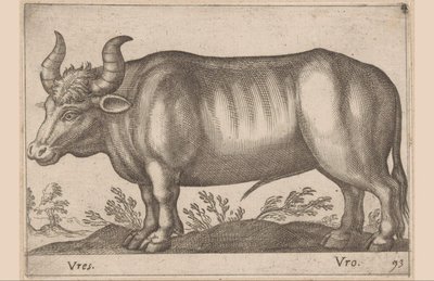 Okrągły Vres/ Vro (tytuł na obiekcie) Zwierzęta i mityczne stworzenia (tytuł serii) Nova raccolta de li animali piu curiosi del mondo (tytuł serii) autorstwa Antonio Tempesta