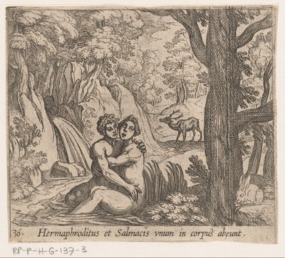 Salmacis i Hermafrodyt Hermafrodyt i Salmacjusz odchodzą jako jedno ciało (tytuł na obiekcie) Metamorfoza lub przekształcenia (tytuł serii) Metamorfosen van Ovidius (tytuł serii) autorstwa Antonio Tempesta
