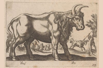 Byk Vrus/ Vro (tytuł na obiekcie) Dieren en fablewezens (tytuł serii) Nowa kolekcja najciekawszych zwierząt świata (tytuł serii) autorstwa Antonio Tempesta
