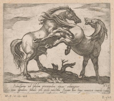 Twee parende paarden Paarden uit verschiedelden landen (tytuł serii) Z tymi przywódcami będziesz uhonorowany jako przywódca z ustami viroru. autorstwa Antonio Tempesta
