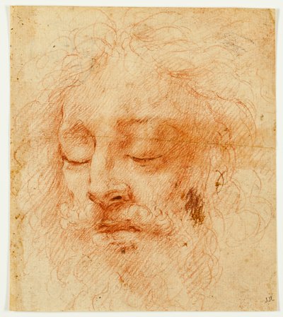 Głowa śpiącego człowieka autorstwa Antonio da Correggio