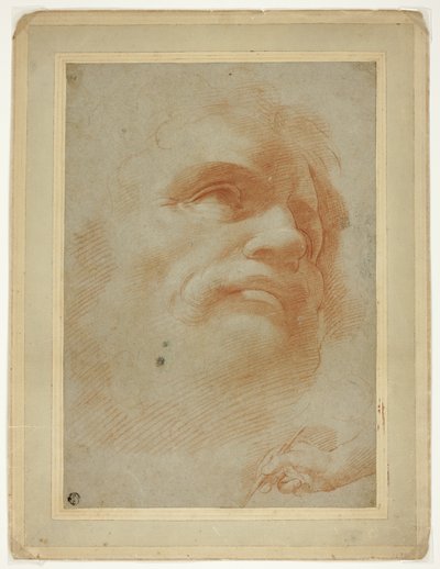 Męska głowa i szkic prawej ręki trzymającej rysik autorstwa Antonio da Correggio