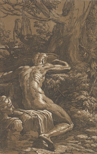 Mężczyzna siedzący widziany zza Narcyza, ok. godz. 1527-30. autorstwa Antonio da Trento