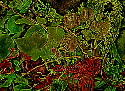 Anderswelt - pole, 2025 r. (zdjęcie) autorstwa Antonius Antonius