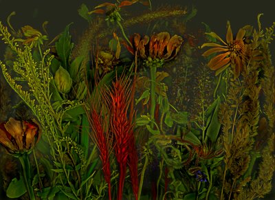 Anderswelt nr 92, 2019 (zdjęcie) autorstwa Antonius Antonius