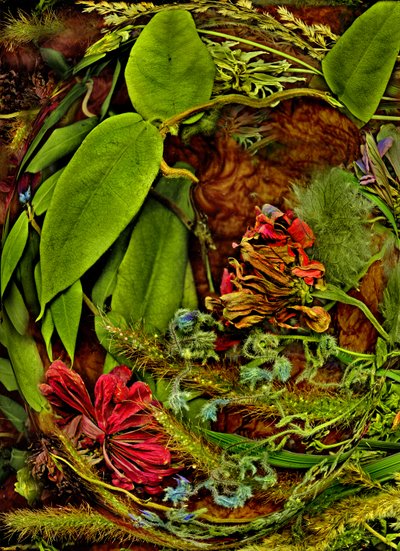 Otherworlds nr 113 autorstwa Antonius Antonius