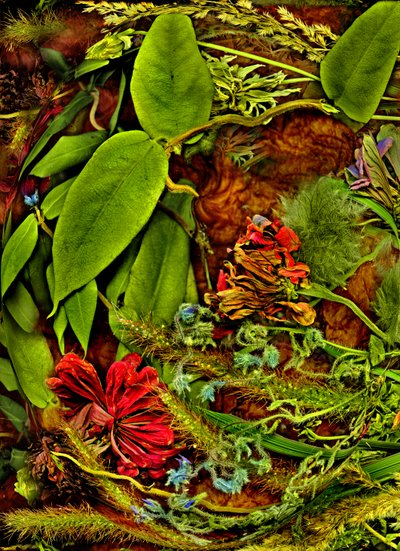 Inne światy nr 2, 2025 (zdjęcie) autorstwa Antonius Antonius