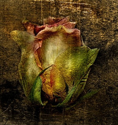 Artfloral -55 autorstwa Antonius Antonius