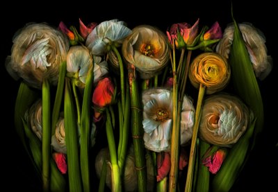 Earthart flora nr 3, 2024 (zdjęcie ilustracyjne) autorstwa Antonius Antonius