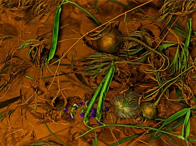 Earthart nr 2, 2014 (zdjęcie) autorstwa Antonius Antonius