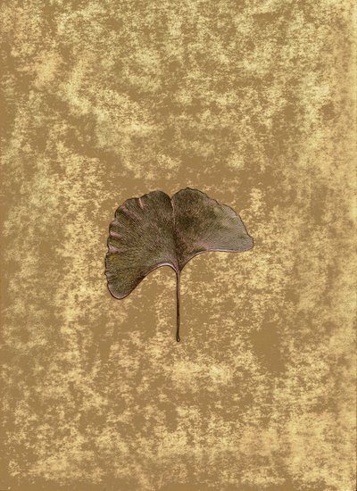 Ginkgo 3 autorstwa Antonius Antonius