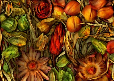 Magiczny ogród - dżungla 3, 2013 (zdjęcie) autorstwa Antonius Antonius