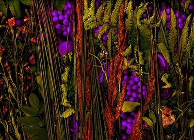 Magiczny ogród nr 39-3, 2019 (zdjęcie) autorstwa Antonius Antonius