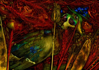 Magiczny ogród nr 76, 2012 (zdjęcie) autorstwa Antonius Antonius