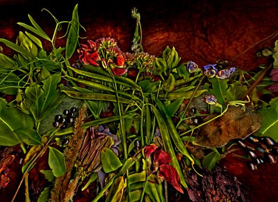 Martwa natura m 3, 2014 (zdjęcie ilustracyjne) autorstwa Antonius Antonius