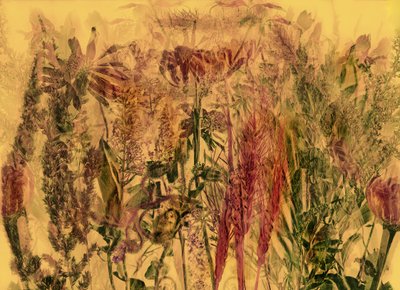 anderswelt 92 autorstwa Antonius Antonius