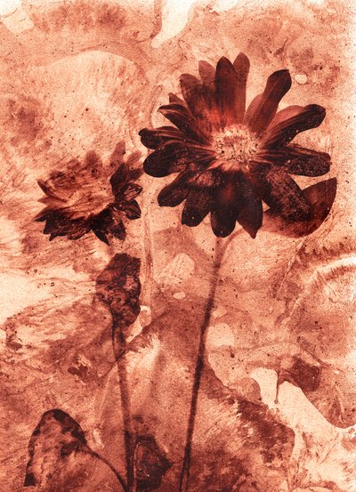 kwiat mono autorstwa Antonius Antonius